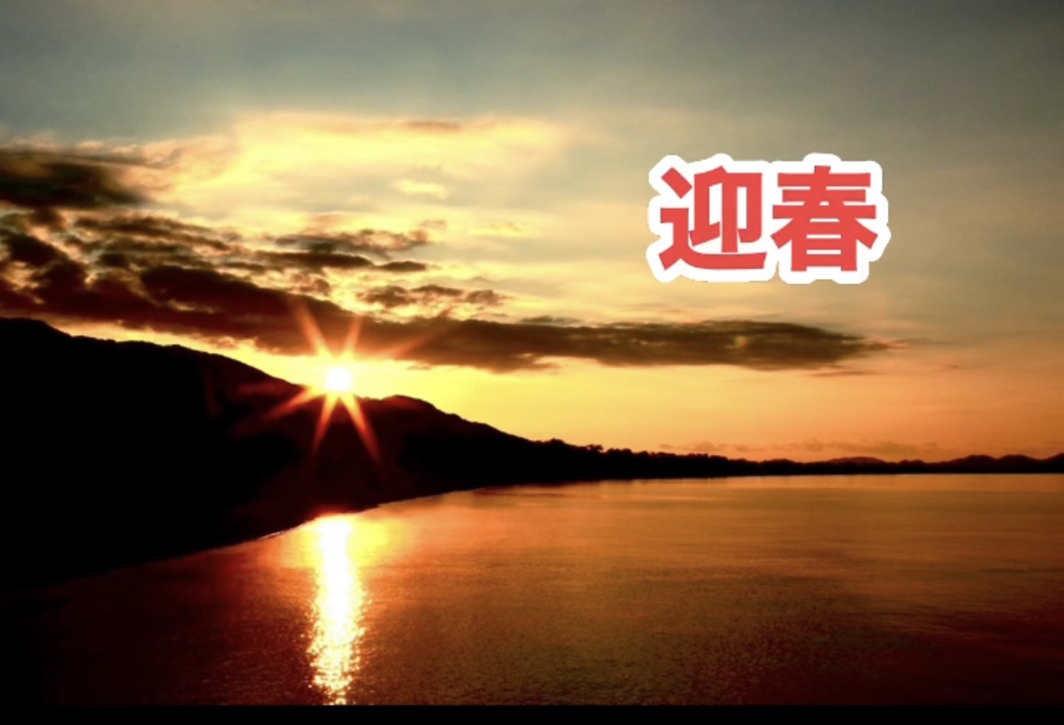 新年明けましておめでとうございます